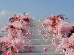 -WFC会仙楼观景台