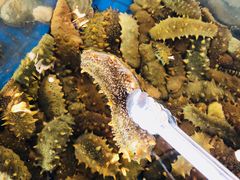 -赤山海景丽呈酒店