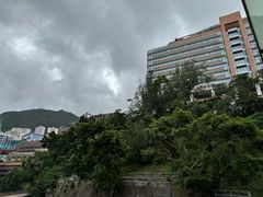 -香港大学