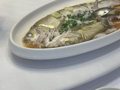 -鱼鲜饭香·招牌汽锅剁椒鱼头王