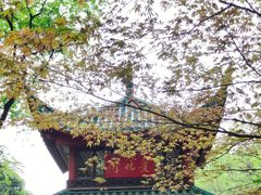 -岳麓山风景名胜区