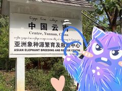 -野象谷景区