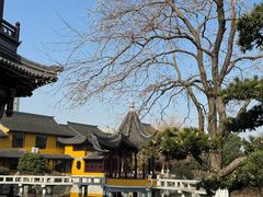 -圆通寺