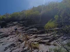 -灵山