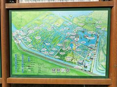 -泗洪洪泽湖湿地景区