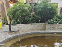 -碧水湾温泉
