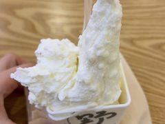 -野人先生Gelato(上海长宁龙之梦店)