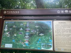 -灵谷景区