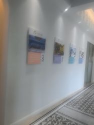 -美丽田园