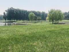 -大兴滨河森林公园