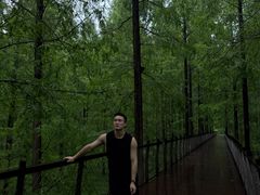 -黄海国家森林公园