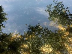 -大理洱海