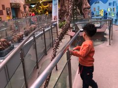 -陕西自然博物馆