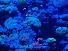 -太平洋海底世界