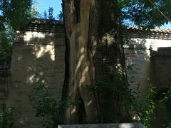 -西安关中民俗艺术博物院