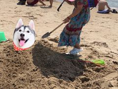 -北戴河碧螺塔海上酒吧公园