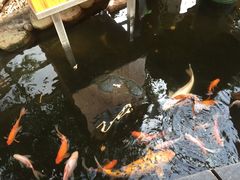 -上海大自然野生昆虫馆(东方明珠·爬宠昆虫探索中心)