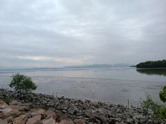 -深圳湾公园(南山区)