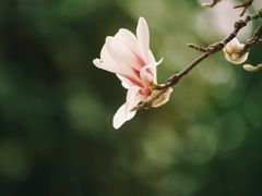 -南京晨光1865创意产业园
