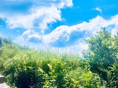 -白草畔自然风景区