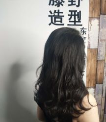 -藤野造型