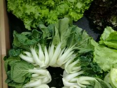 -德龙平价生活超市