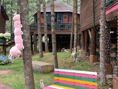 -洛阳白云山景区