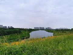 -哈尔滨大剧院