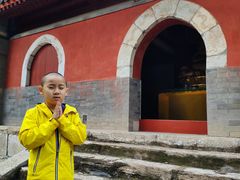 -北京上方山国家森林公园