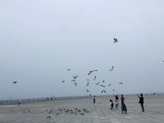 -东港音乐喷泉广场