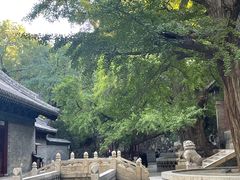 -晋祠公园