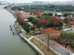 -喜洲吧·江畔老船厂·庭院餐厅(喜临院店)