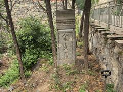 -阳台山自然风景区