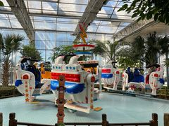 -南宫五洲植物乐园