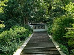 -虎跑公园