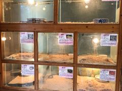 景点-上海大自然野生昆虫馆