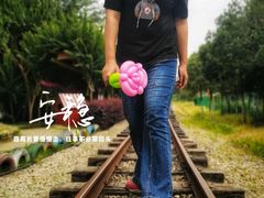 -武汉紫薇都市田园