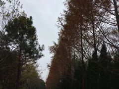 -合肥三国新城遗址公园