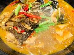 沙煲鱼头-7017浙菜•建德味(中财店)