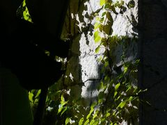 -鸿山公园