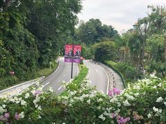 -新加坡海鲜共和(名胜世界圣淘沙海滨坊)