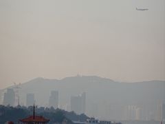 -演武大桥观景平台