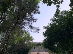 -峙山公园