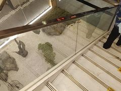 -阿胖龙虾小海鲜(宁国南路总店)