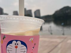 -新江湾城公园