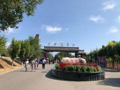 -中华福寿山