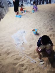 -恐龙探索乐园(磁器口店)