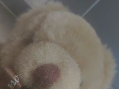 -霸王茶姬(南亚风情第壹城店)