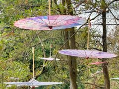 -人民公园(罗湖区)