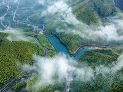 -四明山国家森林公园